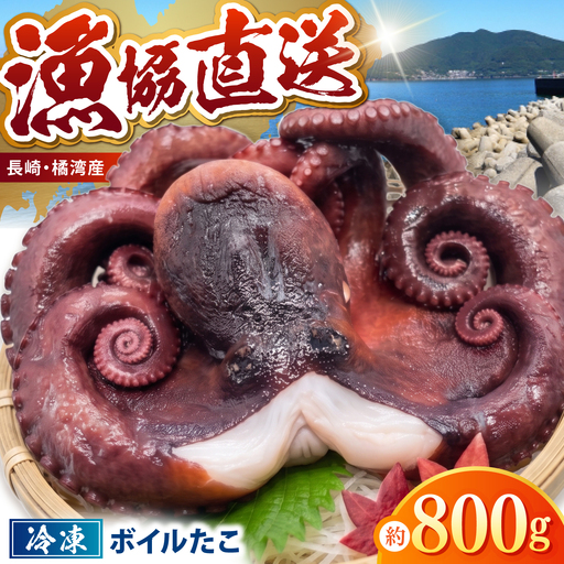【肉厚、極上の旨味】冷凍ボイルタコ 約800g / タコ たこ 蛸 ボイル ボイルタコ 冷凍 冷凍タコ 丸蛸 丸ごと 産地直送 / 諫早市 / 橘湾中央漁業協同組合[AHDP006]