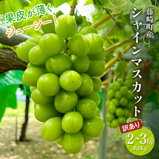 【先行予約】 ≪訳あり≫ シャインマスカット 2～3房 約1kg 《木村隆志 作》 藤崎町産 ぶどう 葡萄 フルーツ 厳選 大粒 高糖度 国産 産地直送 数量限定 F41-0155