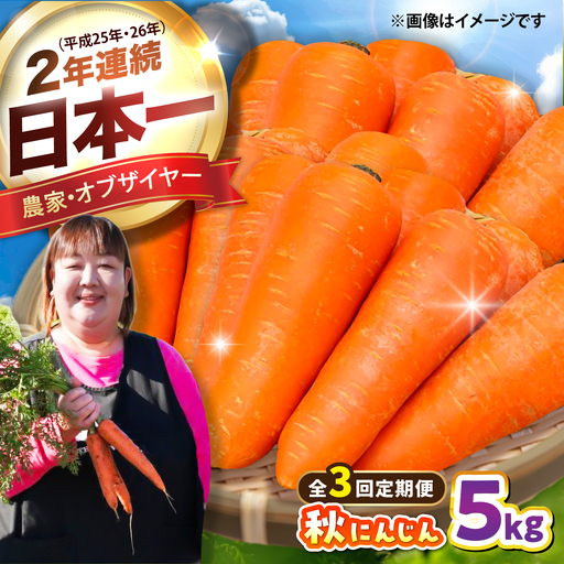 [先行予約][2026年12月順次発送開始]全3回定期 秋にんじん5kg にんじん