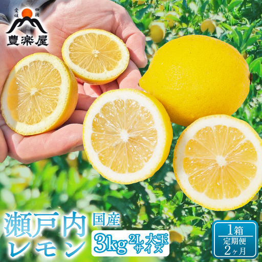 [定期便2ヶ月][防腐剤・ワックス不使用で安心]真穴産地直送の国産レモン 瀬戸内レモン3kg サイズ2L大玉 1箱 全2回[98-29]YW