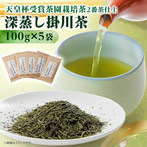 天皇杯受賞茶園栽培茶2番茶仕上　深蒸し掛川茶100g×5袋【配送不可地域：離島・沖縄県】【1749863】