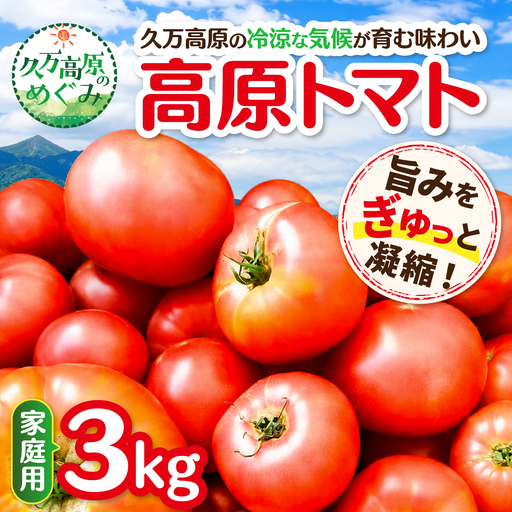 [家庭用] 高原トマト 3kg |愛媛県久万高原町産 特別栽培 産地直送 旬 夏野菜 甘み 旨み 新鮮 採れたて ※2026年7月〜発送