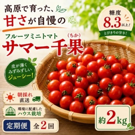 【毎月定期便】蓼科野菜　八ヶ岳産高原育ちのフルーツミニトマト 約2kg 全2回【配送不可地域：離島】【4088598】
