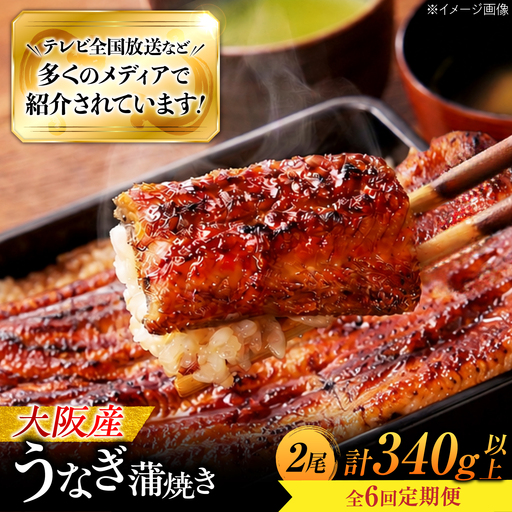 【6回定期便】 鰻 鰻の蒲焼 2尾 蒲焼 BLAL004