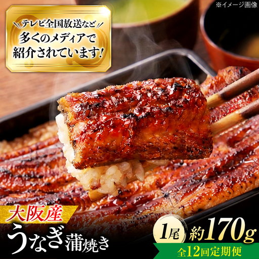 【12回定期便】 鰻 鰻の蒲焼 1尾 蒲焼 BLAL009