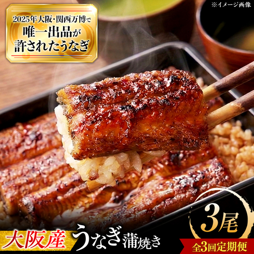 【全3回定期便】 鰻 鰻の蒲焼 3尾 / 美陵鰻 鰻 うなぎ ウナギ 蒲焼 蒲焼き かば焼き 白焼き 白焼 肉厚 うな重 うな丼 ひつまぶし おかず タレ 山椒 国産 スタミナ 土用 丑の日 土用の丑の日 贈答 ギフト 人気 / 大阪府藤井寺市/(株)れいわ水産[BLAL011]