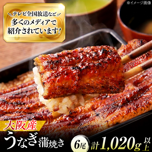 鰻 鰻の蒲焼 6尾 蒲焼 BLAL018