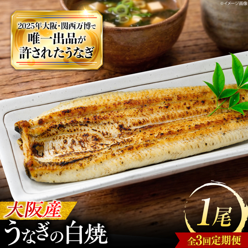 [全3回定期便] 鰻 美陵鰻の白焼 1尾 / 美陵 うなぎ ウナギ 蒲焼 蒲焼き かば焼き 白焼き 白焼 肉厚 うな重 うな丼 タレ 山椒 国産 スタミナ 土用 丑の日 土用の丑の日 贈答 贈り物 ギフト / 大阪府藤井寺市/(株)れいわ水産[BLAL023]