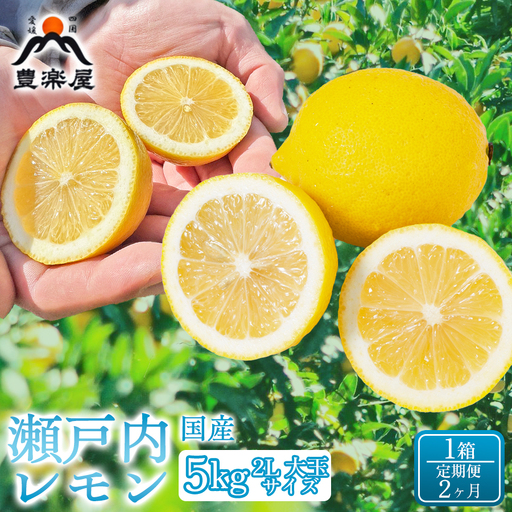 【定期便2ヶ月】【防腐剤・ワックス不使用で安心】真穴産地直送の国産レモン 瀬戸内レモン5kg サイズ2L大玉 1箱 全2回【98-25】YWTBU029