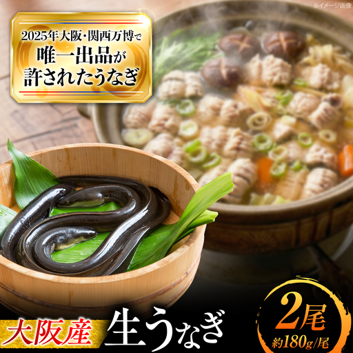 鰻 美陵鰻の生 2尾 / 美陵 うなぎ ウナギ 蒲焼 蒲焼き かば焼き 白焼き 白焼 肉厚 ひつまぶし うな重 うな丼 タレ 山椒 国産 スタミナ 土用 丑の日 土用の丑の日 贈答 ギフト / 大阪府藤井寺市/株式会社れいわ水産[BLAL063]