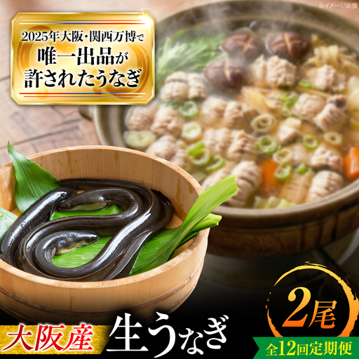 【全12回定期便】 鰻 美陵鰻の生鰻 2尾 / 美陵鰻 鰻 うなぎ ウナギ 蒲焼 蒲焼き かば焼き 白焼き 白焼 肉厚 うな重 うな丼 タレ 山椒 国産 スタミナ 土用 丑の日 土用の丑の日 贈答 ギフト / 大阪府藤井寺市/株式会社れいわ水産[BLAL066]