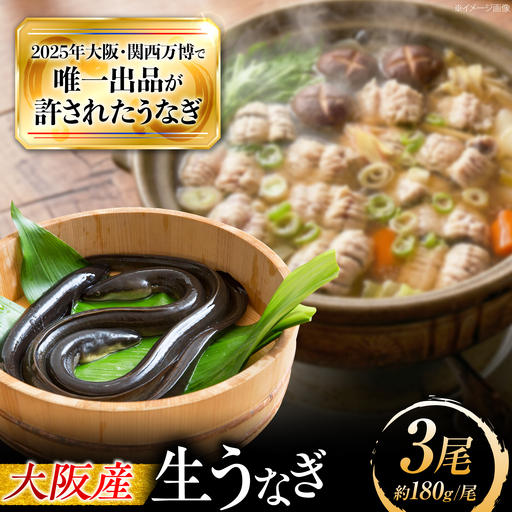 鰻 美陵鰻の生鰻 3尾 / 美陵鰻 鰻 うなぎ ウナギ 蒲焼 蒲焼き かば焼き 白焼き 白焼 肉厚 ひつまぶし うな重 うな丼 タレ 山椒 国産 スタミナ 土用 丑の日 土用の丑の日 贈答 ギフト / 大阪府藤井寺市/株式会社れいわ水産[BLAL067]