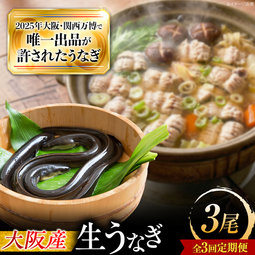 【全3回定期便】 鰻 美陵鰻の生鰻 3尾 / 美陵鰻 鰻 うなぎ ウナギ 蒲焼 蒲焼き かば焼き 白焼き 白焼 肉厚 うな重 うな丼 タレ 山椒 国産 スタミナ 土用 丑の日 土用の丑の日 贈答 ギフト / 大阪府藤井寺市/株式会社れいわ水産[BLAL068]