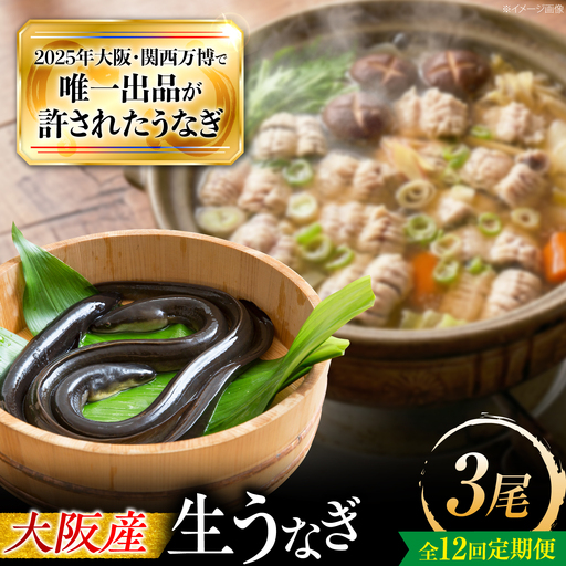 【12回定期便】 鰻 美陵鰻の生鰻 3尾 BLAL070