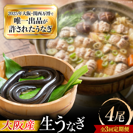 【全3回定期便】 鰻 美陵鰻の生鰻 4尾 / 美陵鰻 鰻 うなぎ ウナギ 蒲焼 蒲焼き かば焼き 白焼き 白焼 肉厚 うな重 うな丼 タレ 山椒 国産 スタミナ 土用 丑の日 土用の丑の日 贈答 ギフト / 大阪府藤井寺市/株式会社れいわ水産[BLAL072]