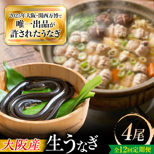 【全12回定期便】 鰻 美陵鰻の生鰻 4尾 / 美陵鰻 鰻 うなぎ ウナギ 蒲焼 蒲焼き かば焼き 白焼き 白焼 肉厚 うな重 うな丼 タレ 山椒 国産 スタミナ 土用 丑の日 土用の丑の日 贈答 ギフト / 大阪府藤井寺市/株式会社れいわ水産[BLAL074]