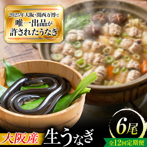 【全12回定期便】 鰻 美陵鰻の生鰻 6尾 / 美陵鰻 鰻 うなぎ ウナギ 蒲焼 蒲焼き かば焼き 白焼き 白焼 肉厚 うな重 うな丼 タレ 山椒 国産 スタミナ 土用 丑の日 土用の丑の日 贈答 ギフト / 大阪府藤井寺市/株式会社れいわ水産[BLAL078]