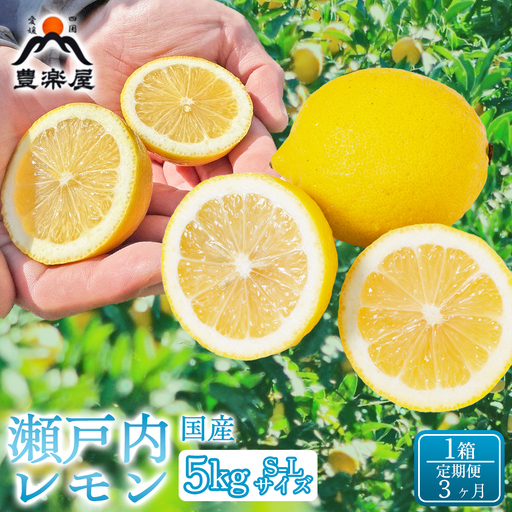 【定期便3ヶ月】【防腐剤・ワックス不使用で安心】真穴産地直送の国産レモン 瀬戸内レモン5kg サイズS~L 1箱 全3回【98-26】YWTBU030