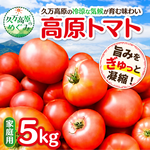 【家庭用】 高原トマト 5kg ｜愛媛県久万高原町産 特別栽培 産地直送 旬 夏野菜 甘み 旨み 新鮮 採れたて ※2026年7月～発送