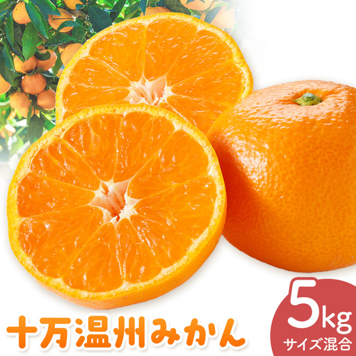 十万温州みかん L/LL混合 5kg 田野農園[12月中旬-3月中旬頃出荷]鹿児島県 さつま町