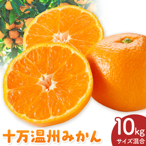 十万温州みかん L/LL混合 10kg 田野農園《12月中旬-3月中旬頃出荷》鹿児島県 さつま町