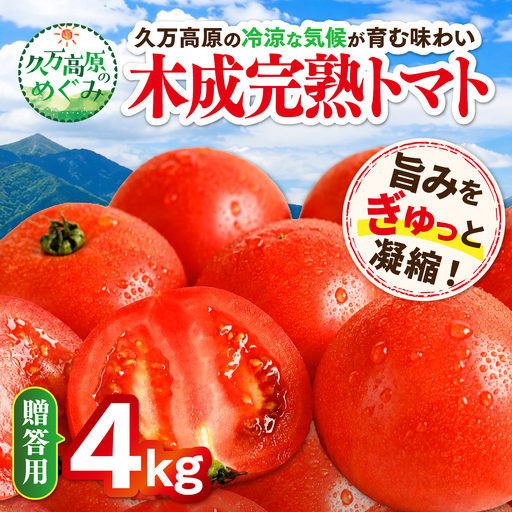[贈答用]木成り完熟トマト 4kg|愛媛県久万高原町産 特別栽培 産地直送 旬 夏野菜 甘み 旨み 完熟トマト 新鮮 採れたて ※2026年7月〜発送