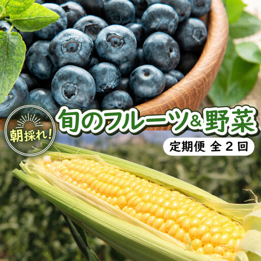 [全2回定期便]完熟 生ブルーベリー(ラビットアイ系)600g スイートコーン 1.7kg (約5本)