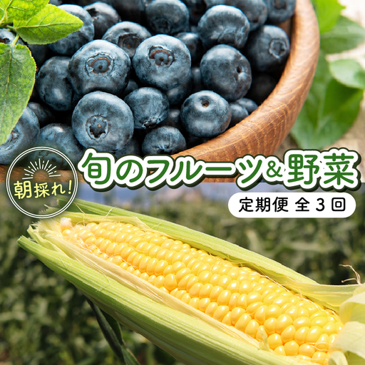 [全3回定期便]完熟 生ブルーベリー(サザンハイブッシュ系・ラビットアイ系)各600g スイートコーン 1.7kg (約5本)