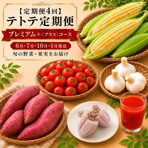 【定期便4回】「テトテ定期便」プレミアムコース ＜6月・7月・10月・1月発送＞| テトテ農園