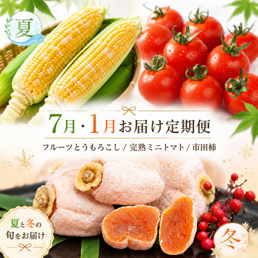 [定期便2回]「テトテ定期便」定番たっぷり [7月・1月発送]| テトテ農園