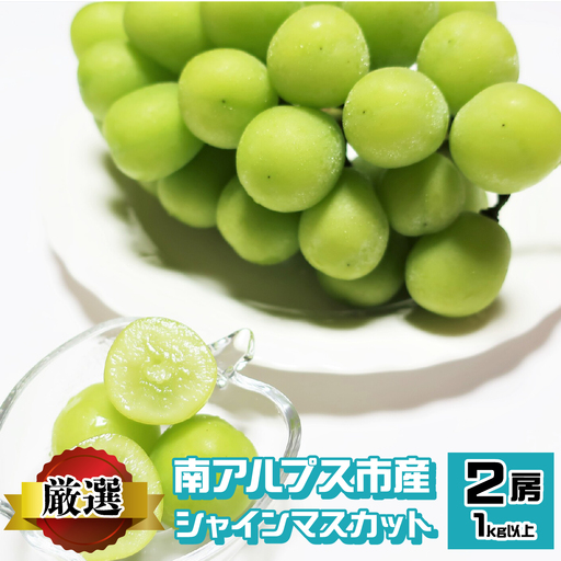 ＜2026年発送先行予約＞南アルプス市産 シャインマスカット （約500g×2房）1.0kg以上 ALPEV003