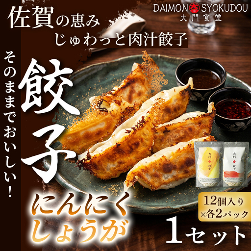 [1個28gで満足度大!](12個入×各2P) にんにく餃子 しょうが餃子 1セット 冷凍餃子 餃子:B145-027