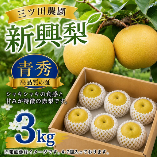 【2026年10月頃より発送】三ツ田農園 新興梨 (青秀)自家用3kg