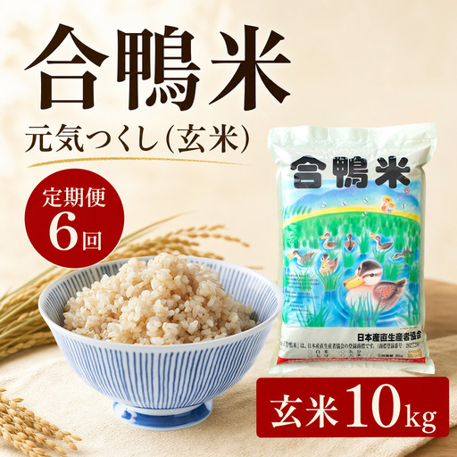 令和8年産 予約 合鴨米「元気つくし」（玄米・10kg）定期便6回コース BI25