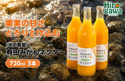 みかん ネクター 100％ ジュース / 温州みかん 有田みかん 果汁 無添加 柑橘 和歌山 11000円 720ml ※北海道・沖縄・離島への配送不可 //drink 【ikd100-to720-3A】