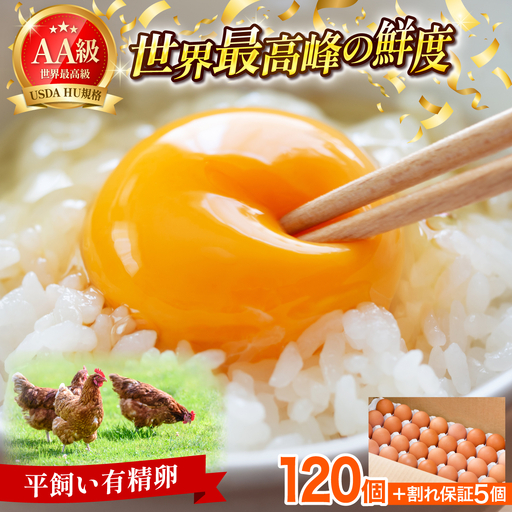 【TVで紹介】鮮度ＡＡ級の世界最高ランク！金太郎卵 平飼い たまご まとめ買い120個