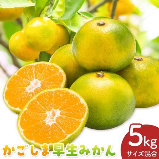 かごしま早生みかん L LL サイズ混合 5kg 田野農園[10月中旬-1月中旬頃出荷]鹿児島県 さつま町