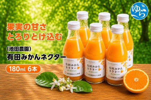 みかん ネクター 100% ジュース / 温州みかん 有田みかん 果汁 無添加 柑橘 和歌山 9000円 180ml ※北海道・沖縄・離島への配送不可 //drink [ikd100-to180-6]