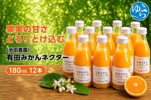 みかん ネクター 100% ジュース / 温州みかん 有田みかん 果汁 無添加 柑橘 和歌山 15000円 180ml ※北海道・沖縄・離島への配送不可 //drink [ikd100-to180-12A]