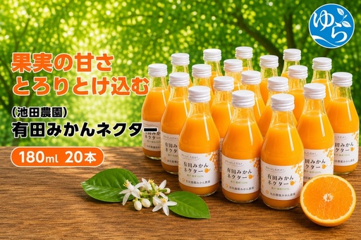 みかん ネクター 100% ジュース / 温州みかん 有田みかん 果汁 無添加 柑橘 和歌山 20000円 180ml ※北海道・沖縄・離島への配送不可 //drink [ikd100-to180-20A]