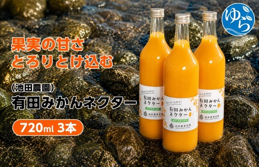 みかん ネクター 100% ジュース / 温州みかん 有田みかん 果汁 無添加 柑橘 和歌山 11000円 720ml ※北海道・沖縄・離島への配送不可 //drink [ikd100-to720-3]