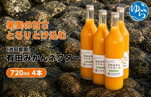 みかん ネクター 100% ジュース / 温州みかん 有田みかん 果汁 無添加 柑橘 和歌山 14000円 720ml ※北海道・沖縄・離島への配送不可 //drink [ikd100-to720-4]