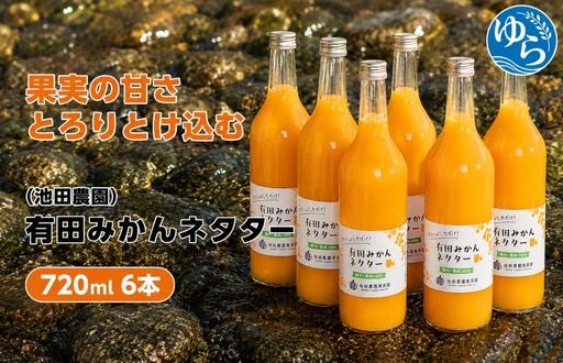 みかん ネクター 100% ジュース / 温州みかん 有田みかん 果汁 無添加 柑橘 和歌山 18000円 720ml ※北海道・沖縄・離島への配送不可 //drink [ikd100-to720-6]