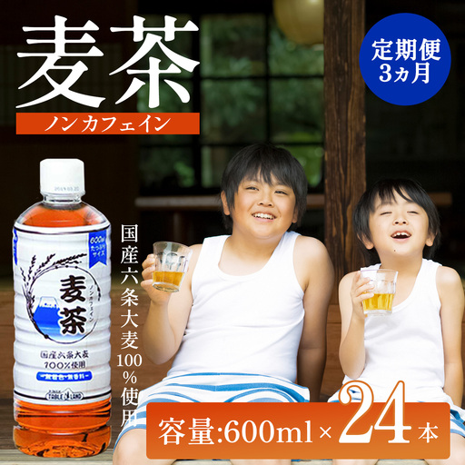 3ヵ月 定期便 ノンカフェイン麦茶 600ml 24本 1箱 麦茶
