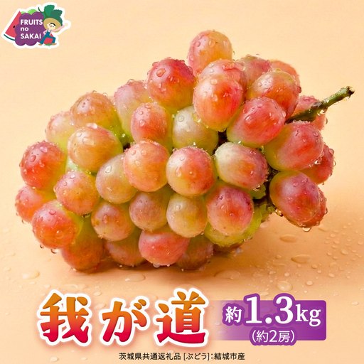 我が道 約1.3kg (約2房)[2026年8月より発送開始](茨城県共通返礼品 [ぶどう]:結城市産)