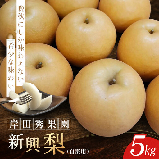 【2026年10月頃より発送】岸田秀果園 新興梨 (自家用)5kg