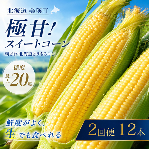 とうもろこし ほしつぶコーン 12本 定期便 2回【令和9年産 先行予約】 とうもろこし 北海道