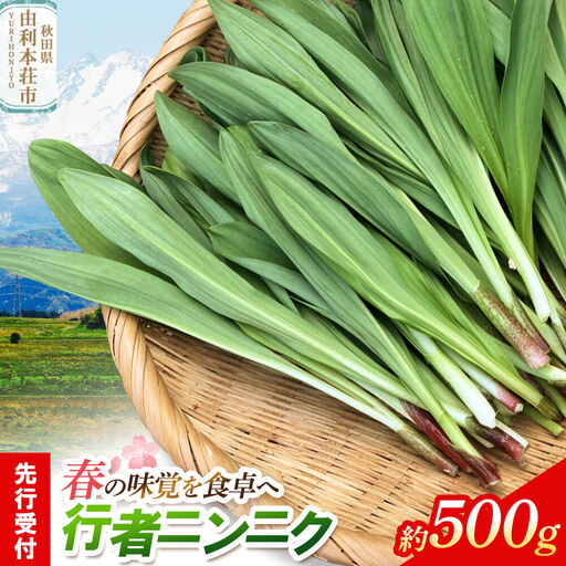 《先行受付》行者ニンニク 約500g