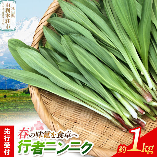 《先行受付》行者ニンニク 約1kg