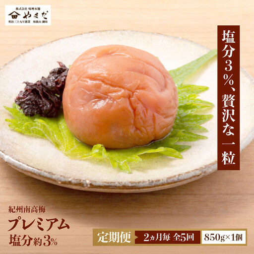 【定期便・2ヵ月毎 全5回】紀州南高梅 プレミアム 850g ［YM12］